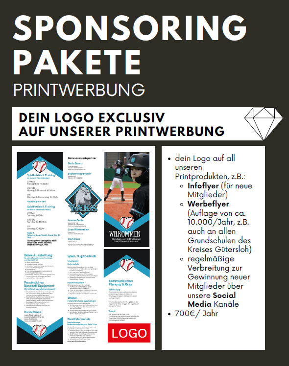 Sponsorpaket-Print