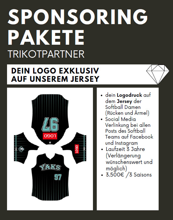 Sponsorpaket-Trikot